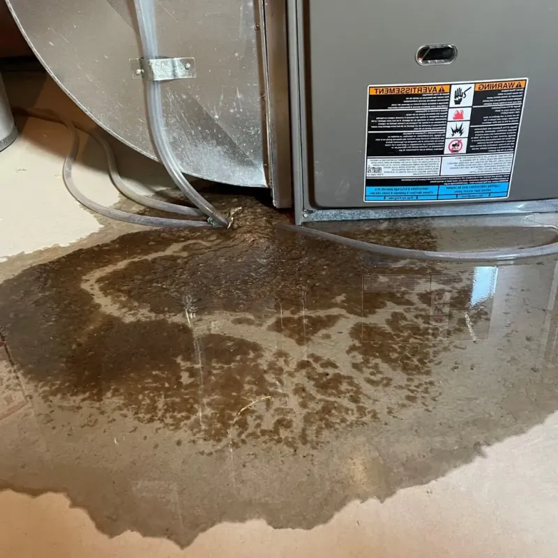Pipe Burst and Leak Restoration in San Fernando, CA